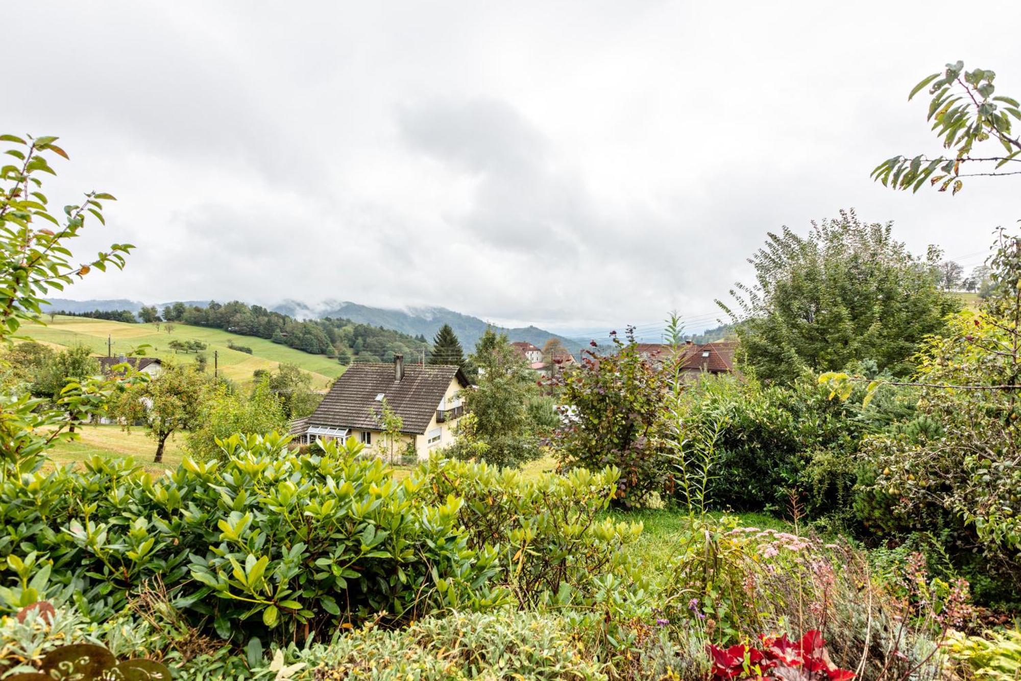 Haus Landblick Apartment Zell im Wiesenthal Bagian luar foto
